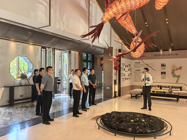 寿县县委常委、、、副县长房鲲鹏一行到访省康健养老公司