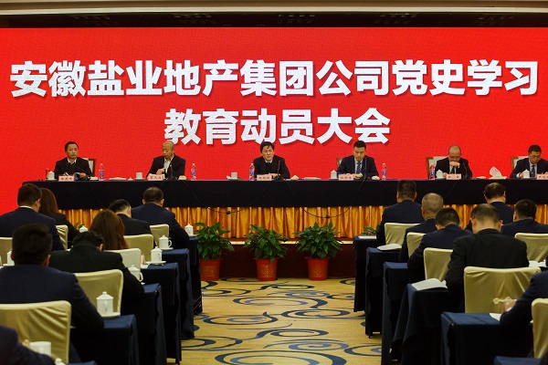 安徽尊龙时凯地产集团公司召开党史学习教育发动大会
