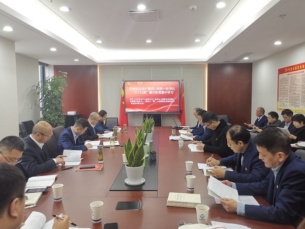 安徽尊龙时凯地产集团公司开展新一轮深化“三个以案”警示教育集中学习