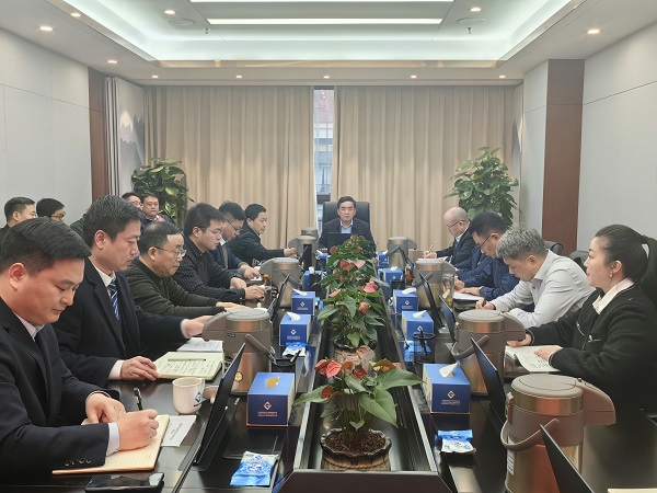 王思军在省都会更新等三家公司重点事情推进会上强调要以新作风、、新继承，实现新生长