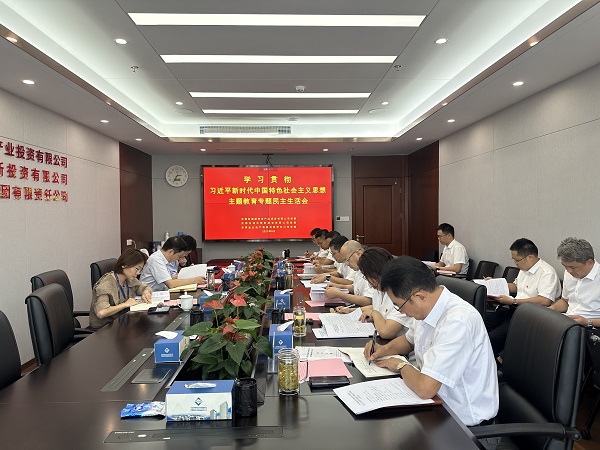 安徽尊龙时凯地产集团等三家公司党委召开学习贯彻习近平新时代中国特色社会主义头脑主题教育专题民主生涯会